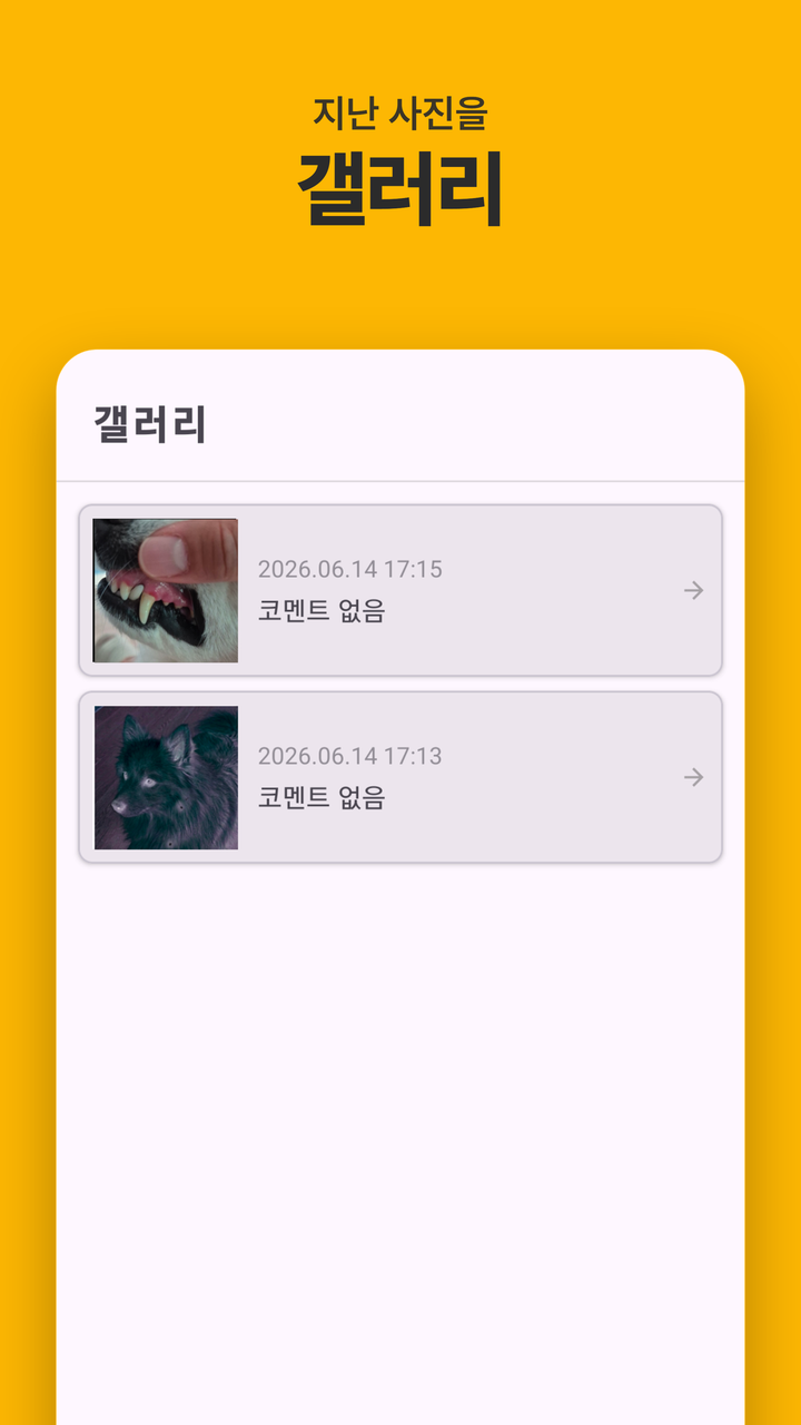 갤러리에서 검사