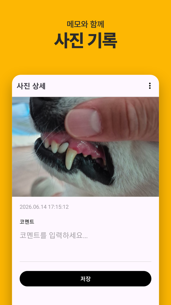 검사 사진 상세