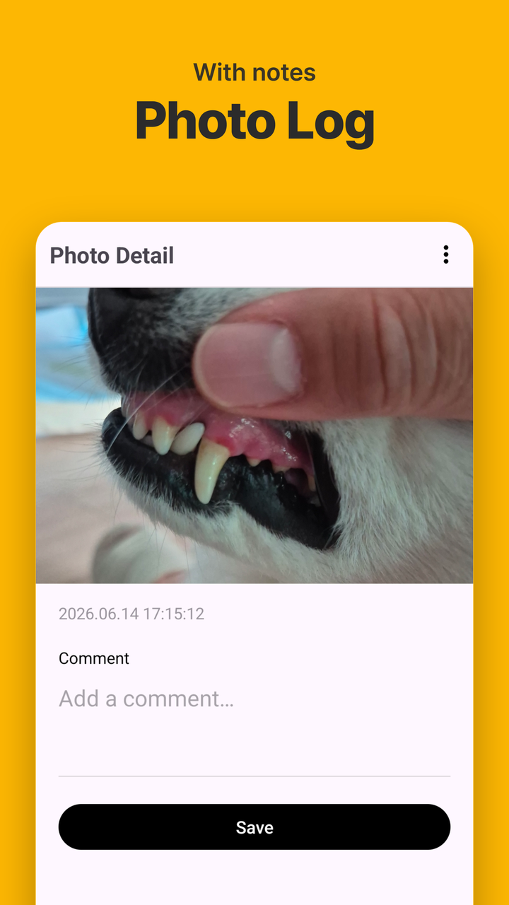 검사 사진 상세